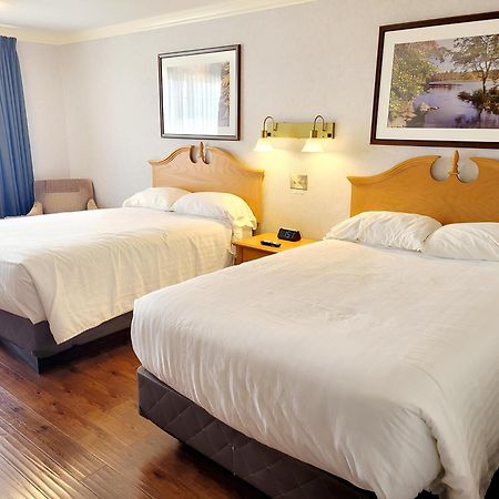 Claymore Inn And Suites Antigonish Esterno foto