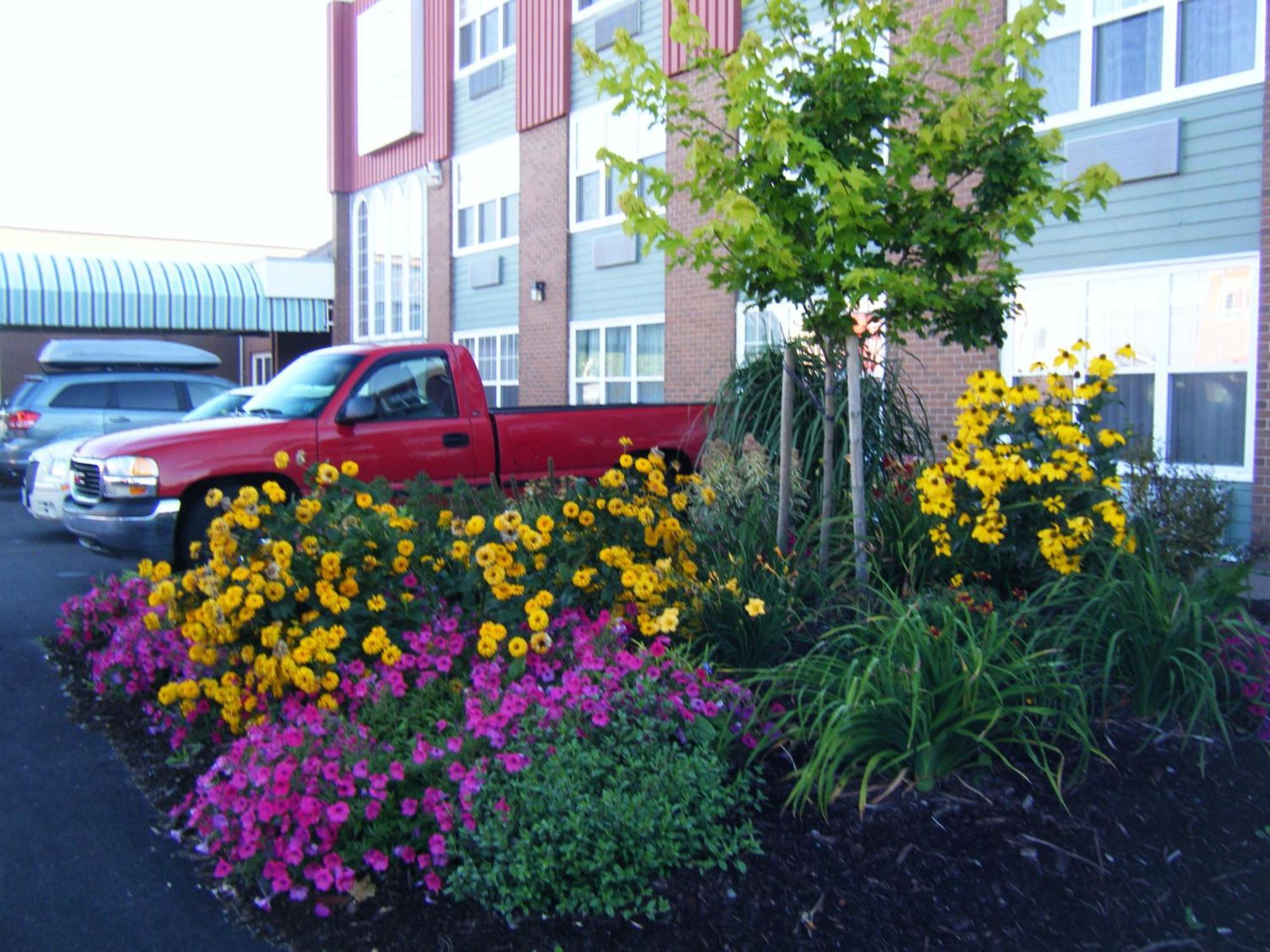 Claymore Inn And Suites Antigonish Esterno foto