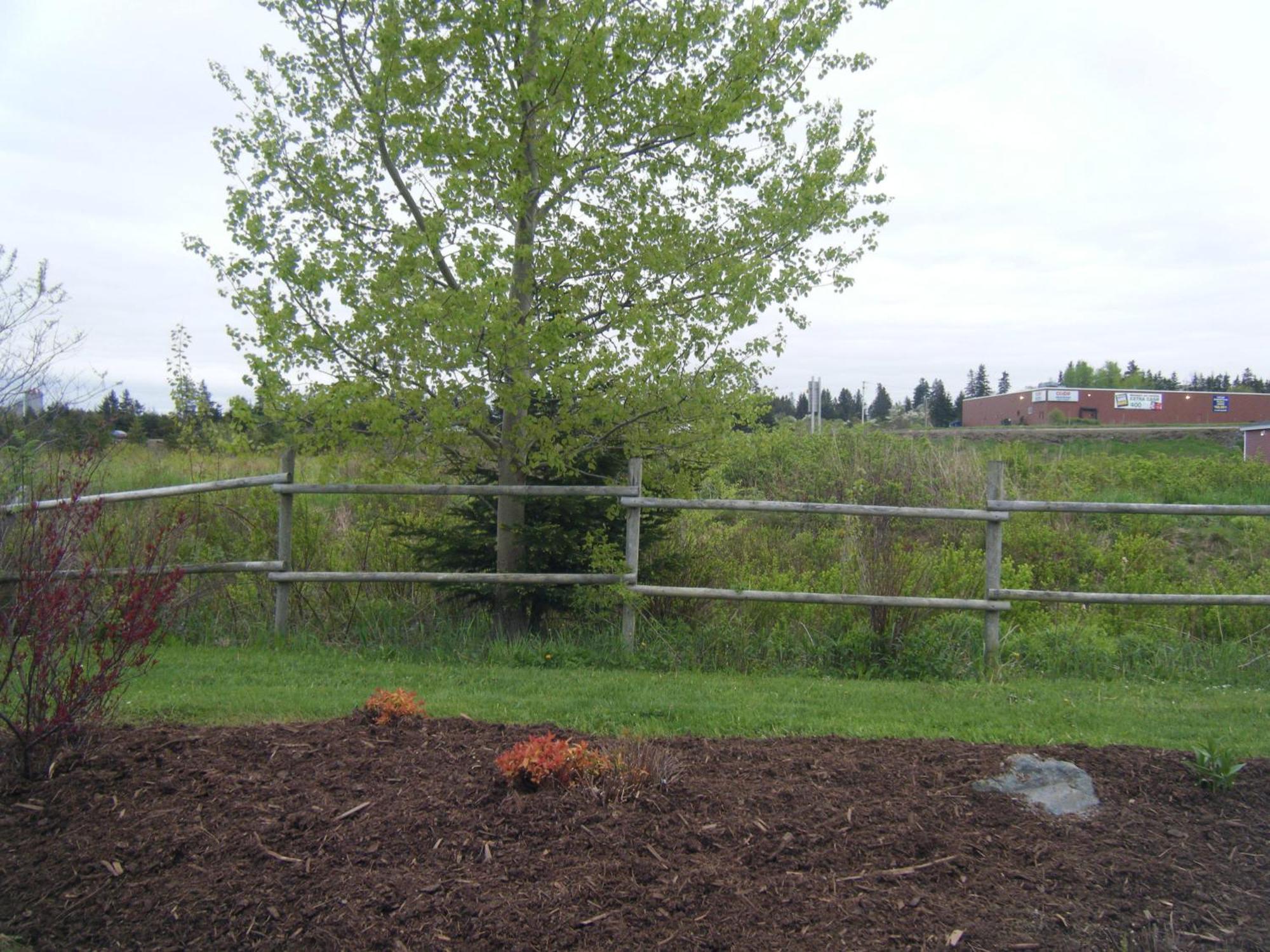 Claymore Inn And Suites Antigonish Esterno foto